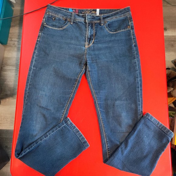 Lola Jeans Celina Skinny jeans blue women's size 12 - Picture 1 of 13